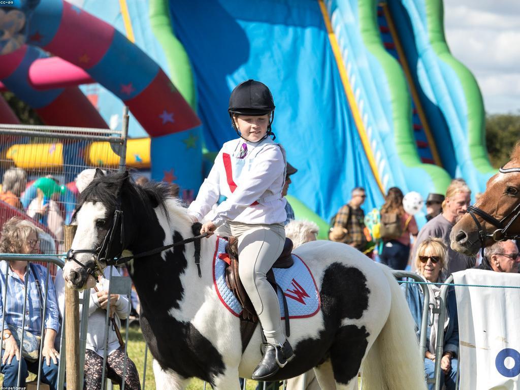 ចំណេះដឹងអំពីល្បែង: ការយល់ដឹងពីល្បែងនិងការប្រកួត