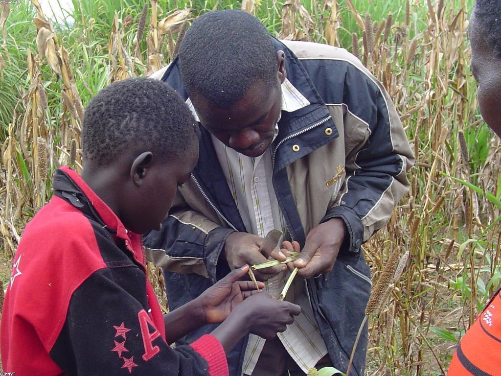 អត្ថភាពនៃការវាយតម្លៃស៊ីសងក្នុងការអភិវឌ្ឍន៍សង្គម